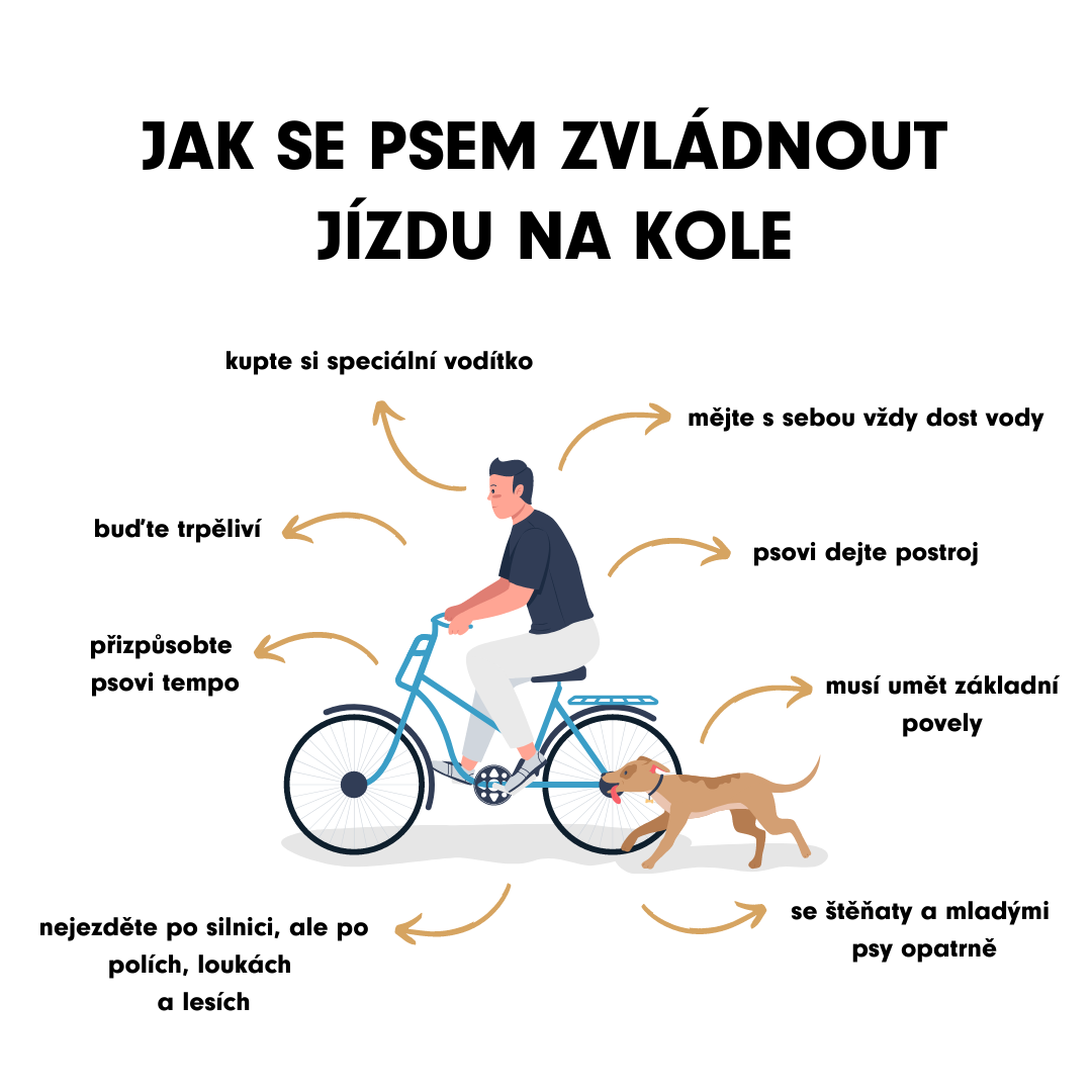 jak se psem zvladnout jidzu na kole